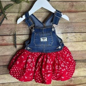Oshkosh B’gosh Paisley Overall Dress Baby Girl Size 9 Months